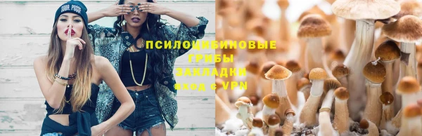 эйфоретик Богданович