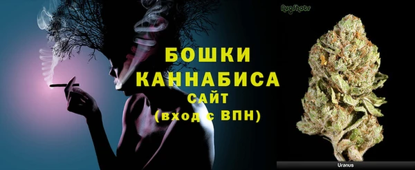 дурь Богородицк