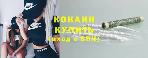 дурь Богородицк