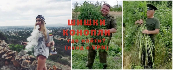 дурь Богородицк