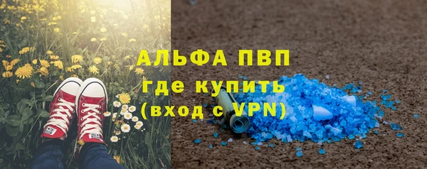 эйфоретик Богданович