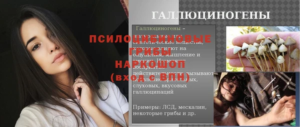 эйфоретик Богданович