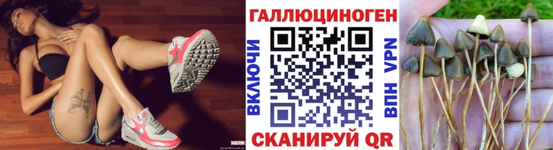 Псилоцибиновые грибы прущие грибы  Миллерово 