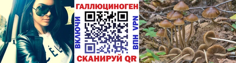 Галлюциногенные грибы GOLDEN TEACHER Миллерово